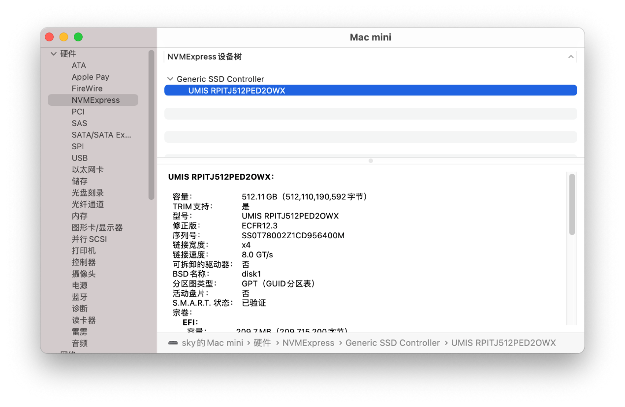 macOS BigSur 11.1 20C69 正式版 with Clover 5127原版镜像[双EFI版][UEFI and MBR] - 图13