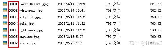 100.windows批量重命名文件 - 图46
