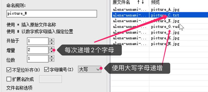 100.windows批量重命名文件 - 图9