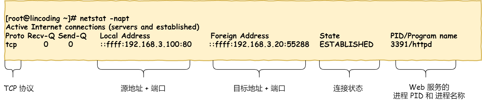 计算机网络之TCP - 图13