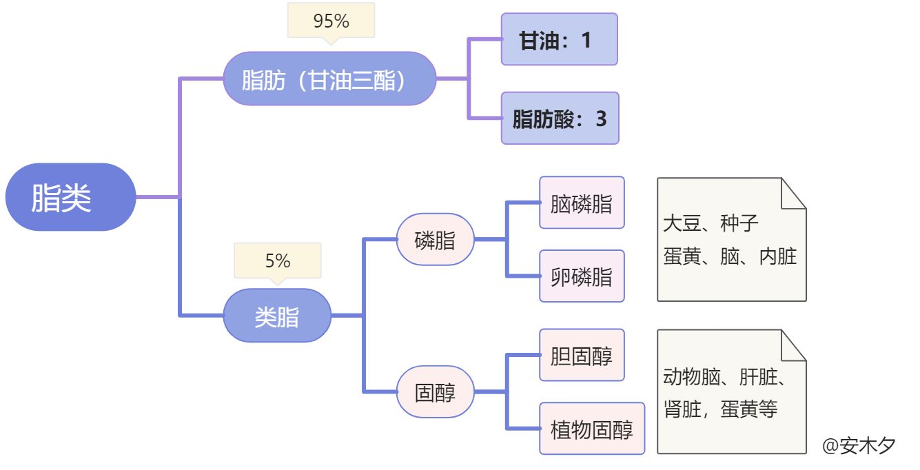 健康防猝指南2：饮食健康 - 图6