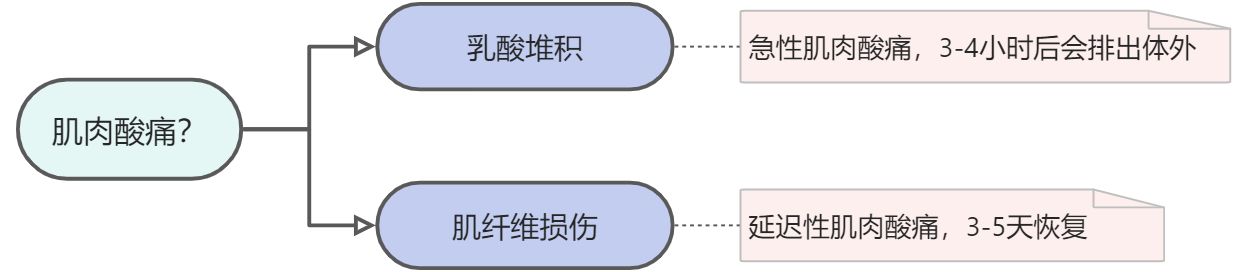 健康防猝指南6：[科学]运动 - 图14