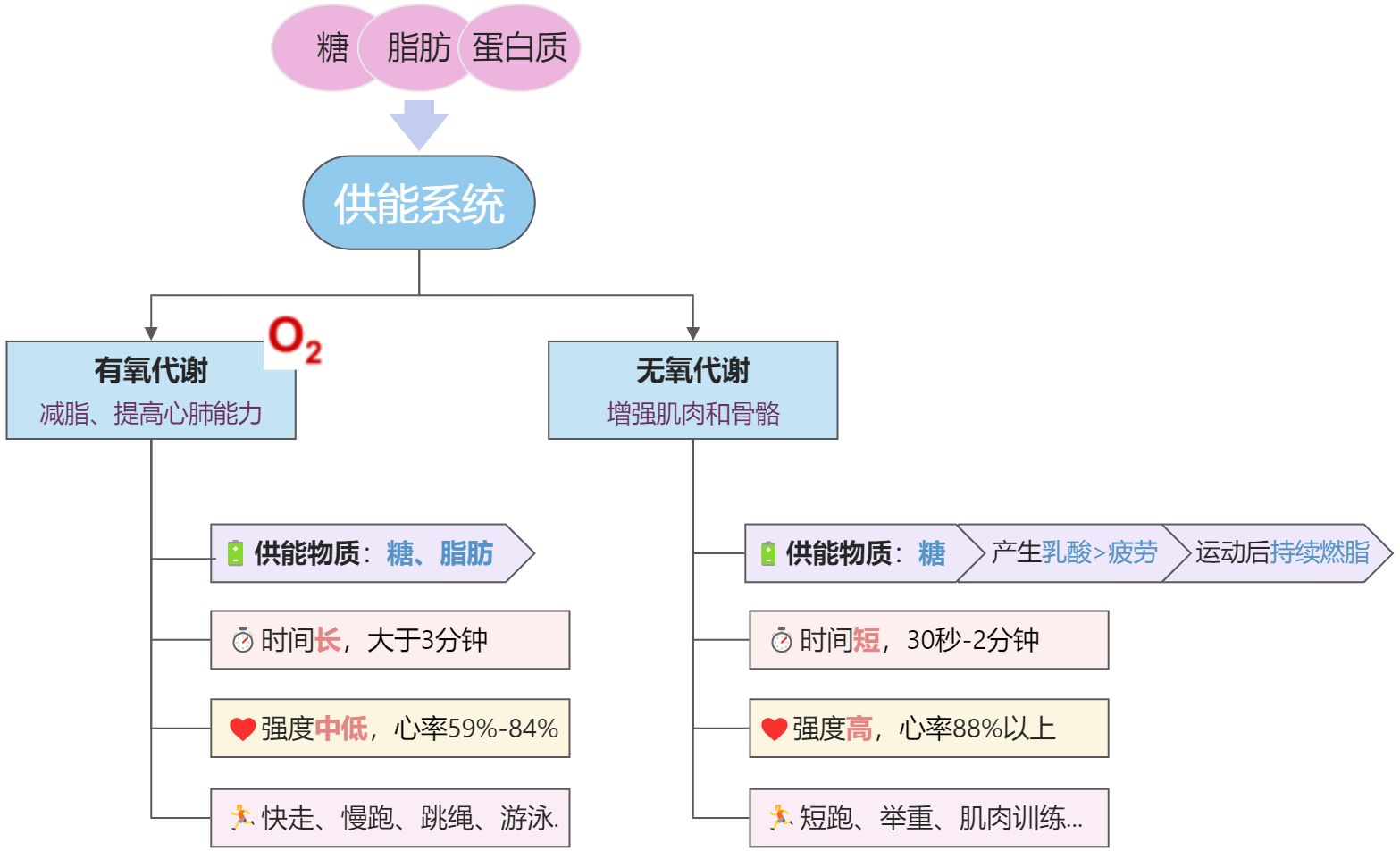 健康防猝指南5：运动基础入门 - 图13