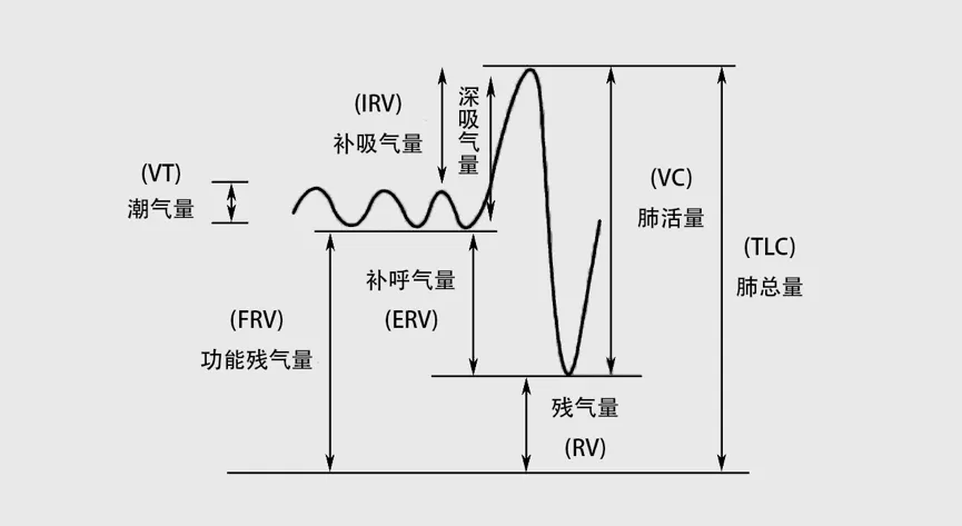 肺功能解释.webp