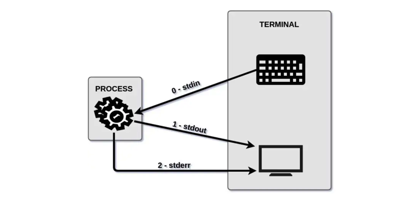 Shell 入门 - 图1