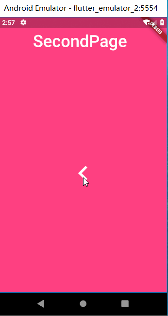 FlutterDemo04.gif