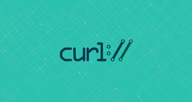 curl 的用法指南 - 图1