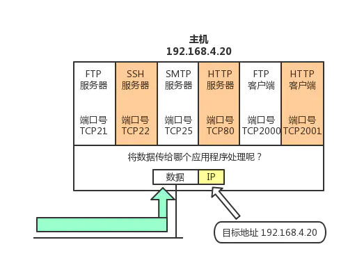 TCP/IP 协议 - 图6