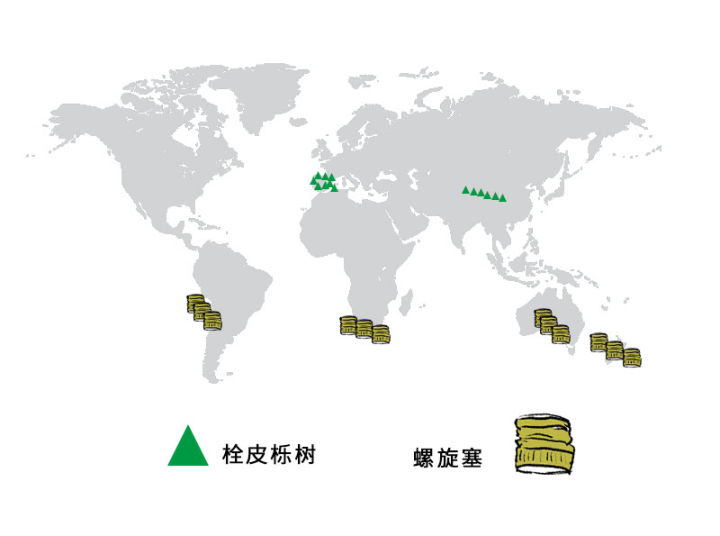 红酒和葡萄酒有什么区别 - 图21