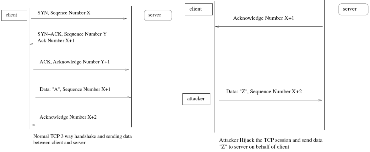 Pro: 网安实验Lab3-Attacks on TCP/IP Protocols - 图51