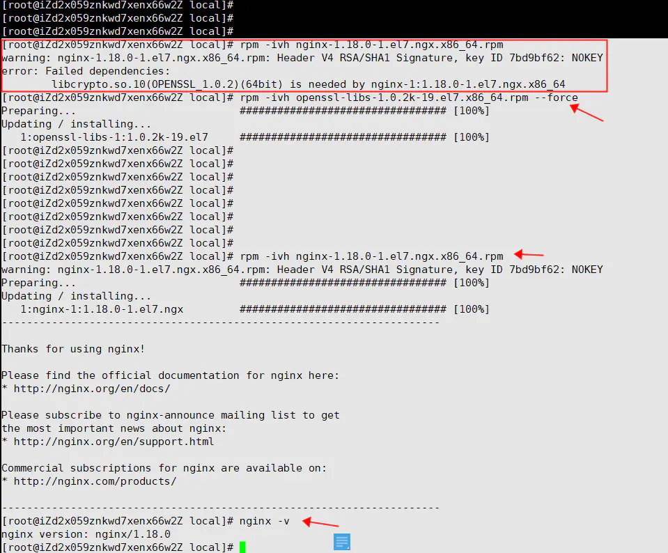 内网安装nginx(rpm包安装方式) - 图2
