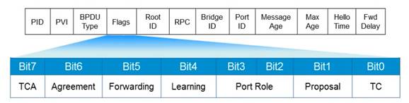 BPDU报文.jpg