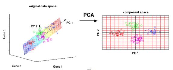 3、特征提取 - 图3