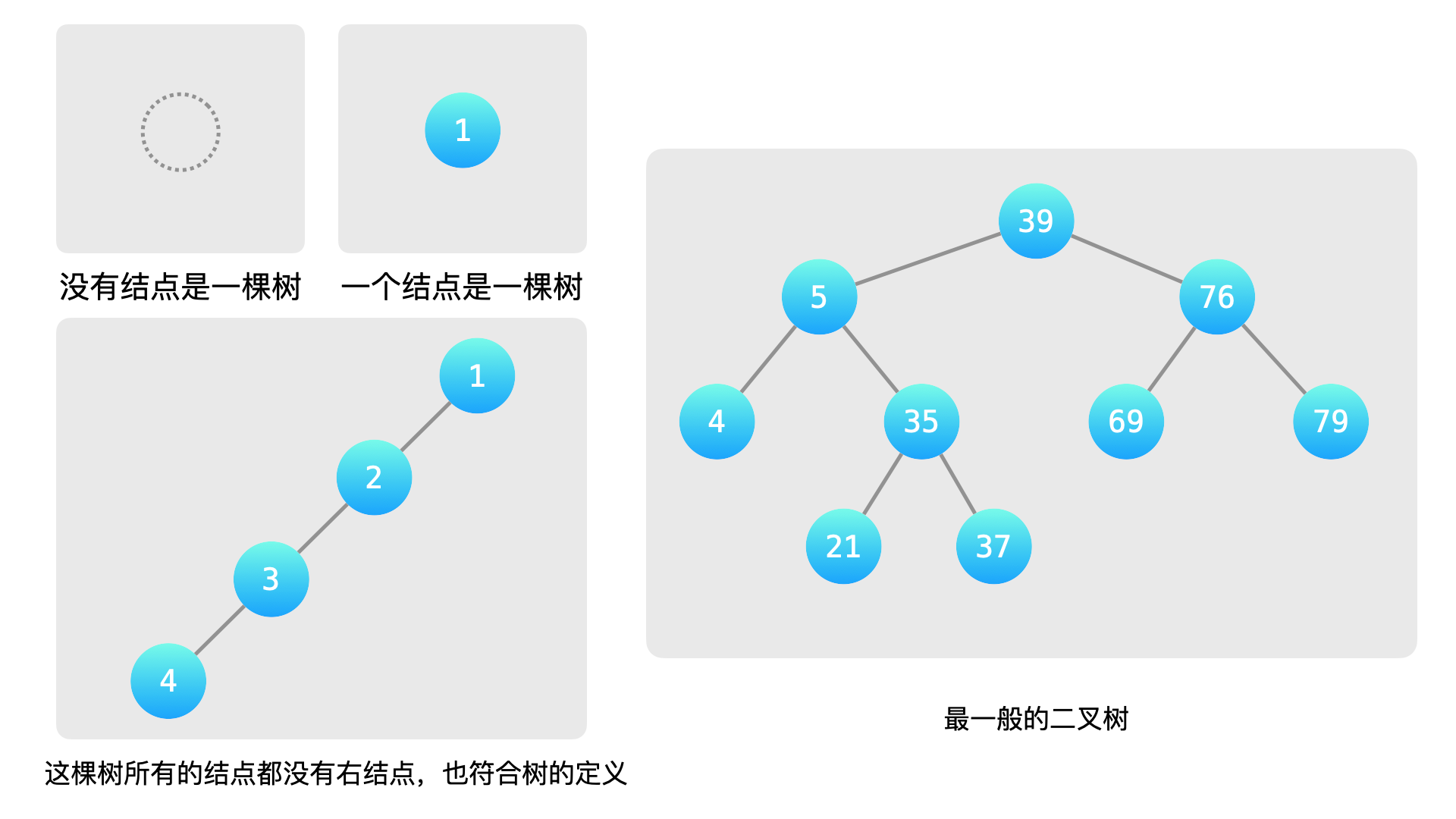 树的简介 - 图1