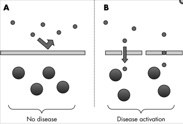 disease-initiation-process-when-there-is-leaky-gut.png