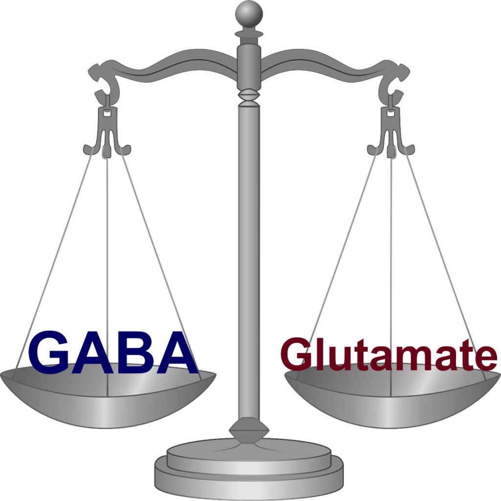 GABA-glutamate-scale-36417_1280-1024x1024.jpg