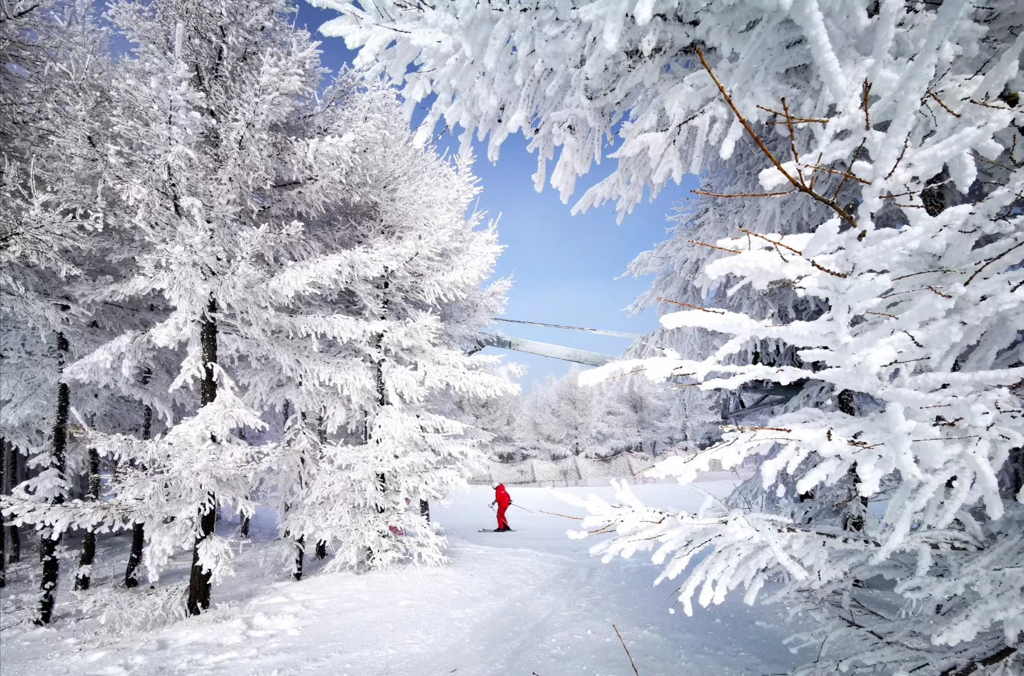 【20200126】集思路提醒复盘 - 图9