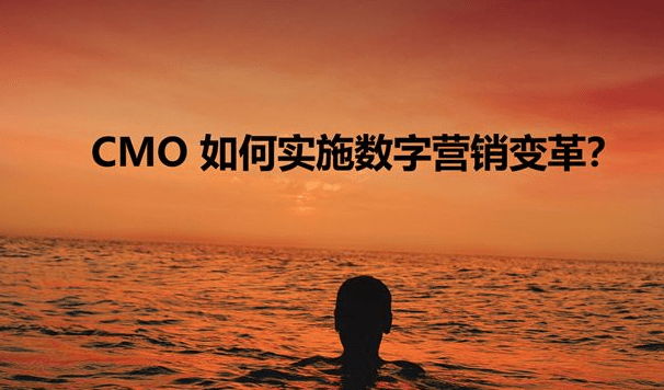 CMO 如何实施数字营销变革？ - 图1