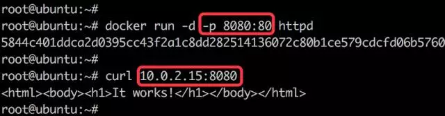 容器网络 - 图22