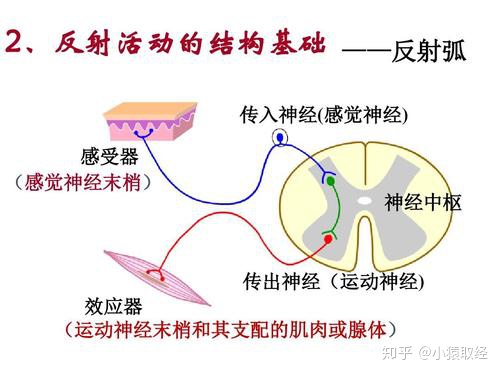 反射、内置方法 - 图1