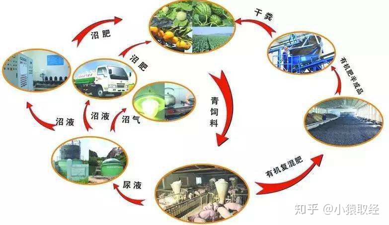 Python语法入门之流程控制 - 图5