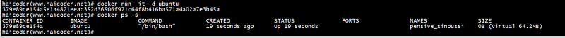docker ps命令 - 图11