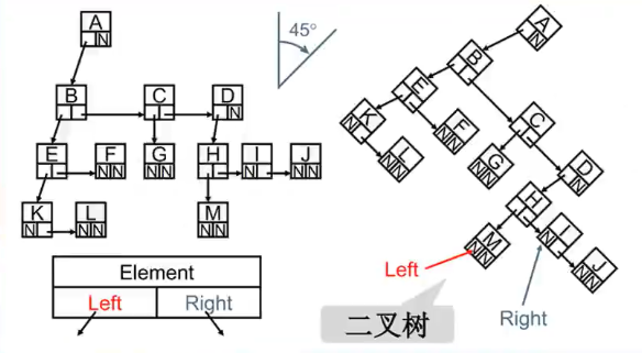 14 树结构 - 图8