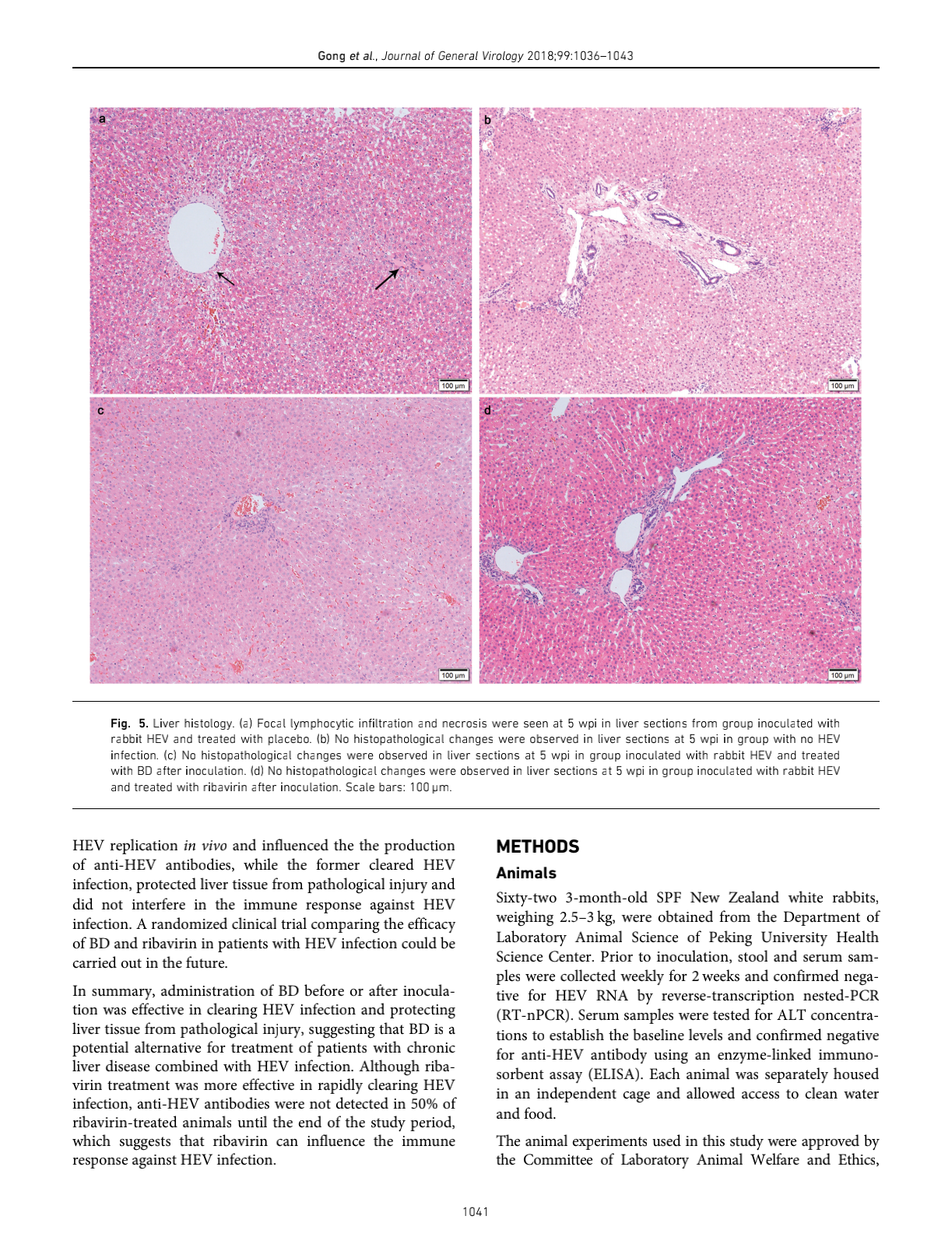 IF3.376,戊肝,(2018),Evaluation of antiviral efficacy of Chinese ...