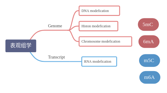 表观基因组介绍 - 图1