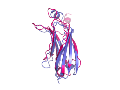 Pymol - 图3