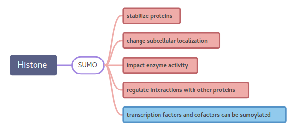 Genome-Wide Profiling of Histone Modification with Chip-Seq (CD Genomics) - 图5