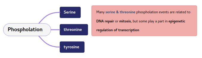 Genome-Wide Profiling of Histone Modification with Chip-Seq (CD Genomics) - 图3