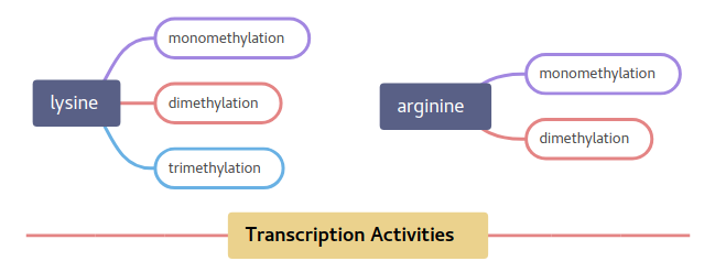 Genome-Wide Profiling of Histone Modification with Chip-Seq (CD Genomics) - 图1