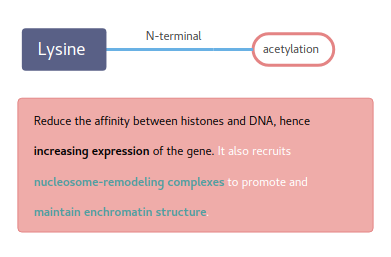 Genome-Wide Profiling of Histone Modification with Chip-Seq (CD Genomics) - 图2