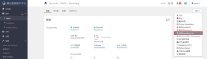 ocdp5.0安装部署文档 - 图44