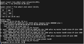 Mysql HA在线原地升级方案 - 图28