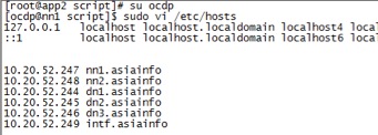ocdp5.0安装部署文档 - 图16
