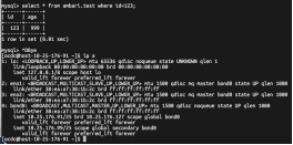 Mysql HA在线原地升级方案 - 图29