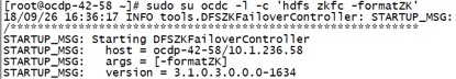 ocdp5.0安装部署文档 - 图54