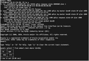 Mysql HA在线原地升级方案 - 图31