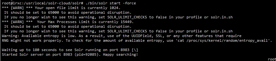Ubuntu-18-Solr-8-2-搭建 - 图1