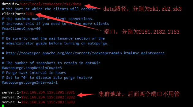 Ubuntu-18-Solr集群-8-X-搭建 - 图1