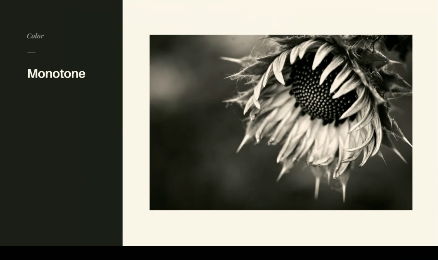 Screen Shot 2020-07-23 at 11.43.15 PM.png