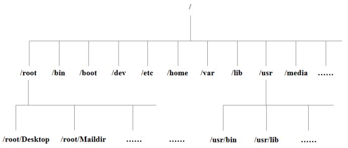 Linux 文件系统 - 图2