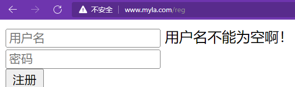 4.自动验证【重点】 - 图13