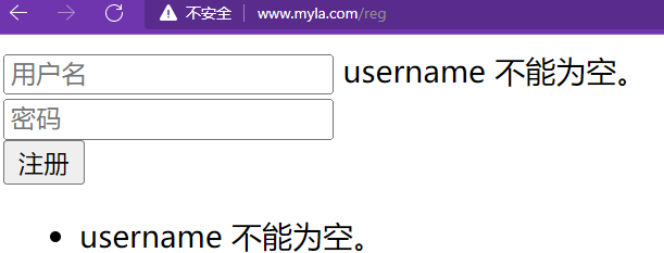 4.自动验证【重点】 - 图10