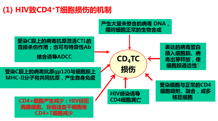 截屏2020-12-30 08.45.57.png