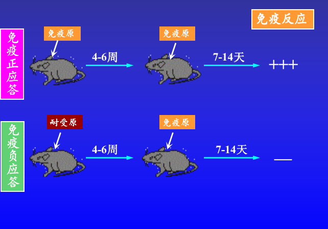 截屏2020-12-18 下午3.50.03.png