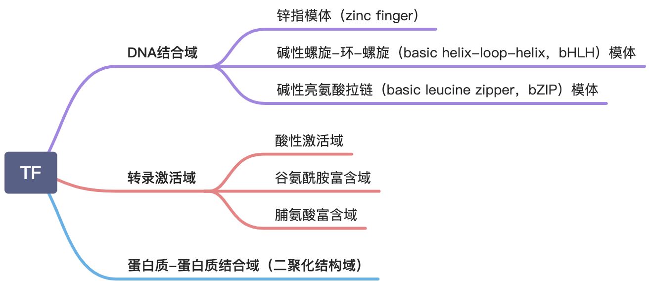 基因表达调控 - 图11