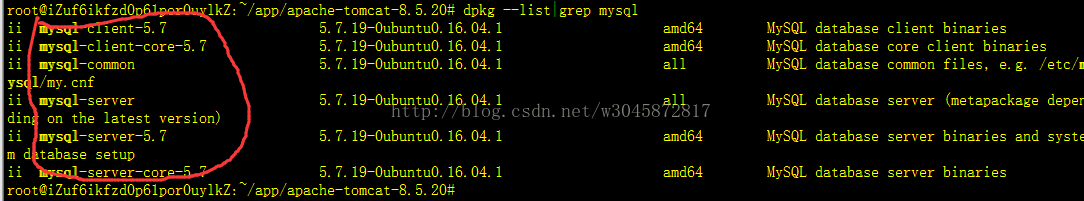 Ubuntu MySQL安装、卸载以及远程连接 - 图2